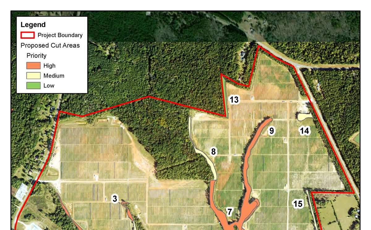 Forestry Site Planning & Viewshed