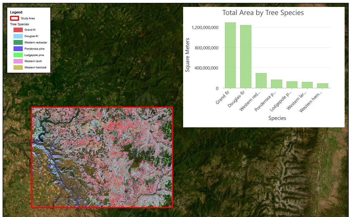Remote Sensing - Clearwater, Idaho